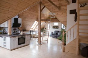 attic apartment with terrace